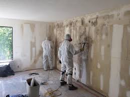 Best Residential Mold Inspection & Testing  in Tehaleh, WA